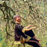 Kháng Nhạ Đông Đông