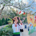 Mai Anh
